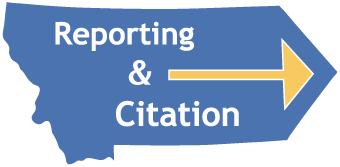 Reporting & Citation